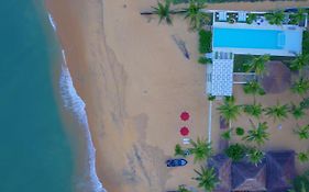 Dolphin Beach Resort - Dolphins, Kitesurfing & Wildlife